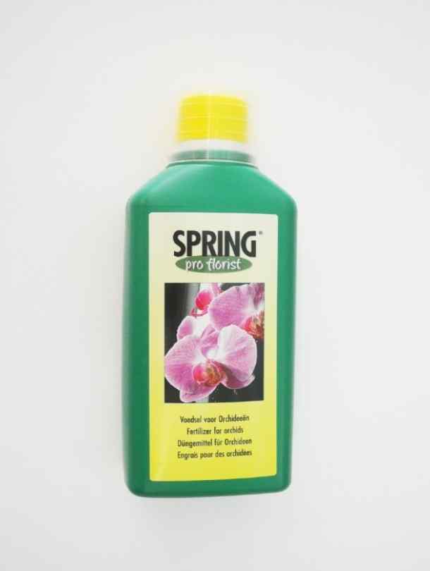 Spring Pro Florist - Orchids