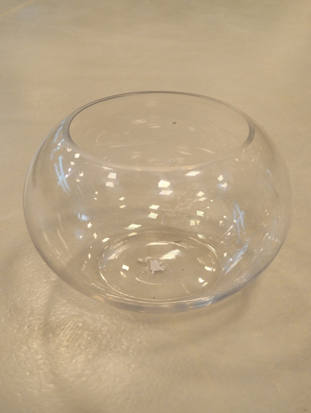 Glass Vase Bowl