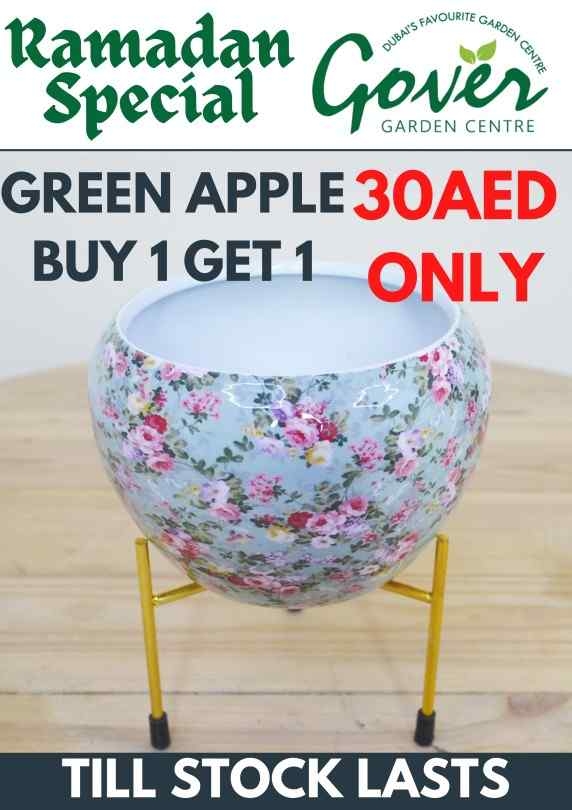 BUY ONE GET ONE (GREEN APPLE)