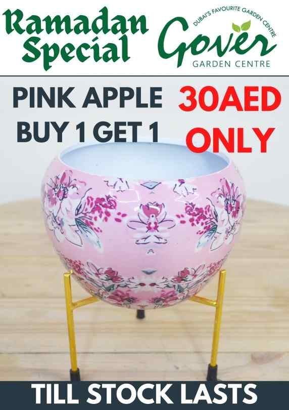 BUY ONE GET ONE (PINK APPLE)
