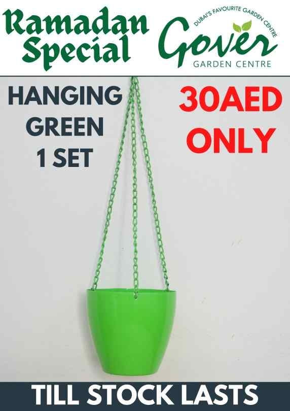 Hanging Green Set