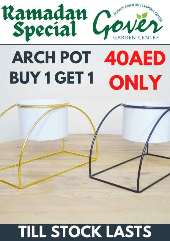 BUY ONE GET ONE (ARCH POT)