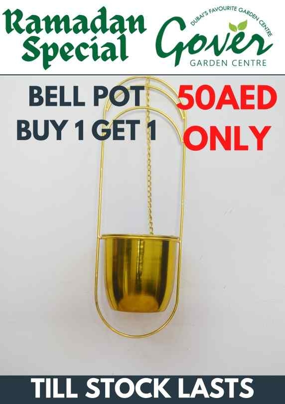 BUY ONE GET ONE (BELL POT)