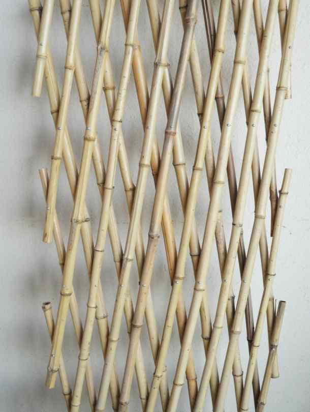 Bamboo Trellis
