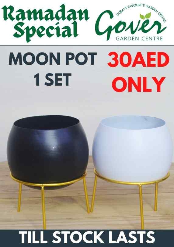 Moon Pot Set