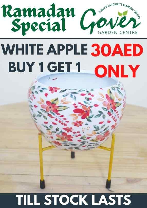 BUY ONE GET ONE (WHITE APPLE)